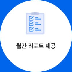 월간 리포트 제공